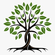 Agakoni Financial Services Ltd logo
